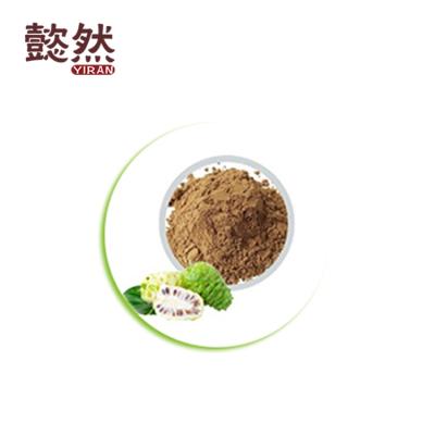 China China Normal Factory Supply Good Quality Natural Noni Fruit Enzyme Juice Powder for sale