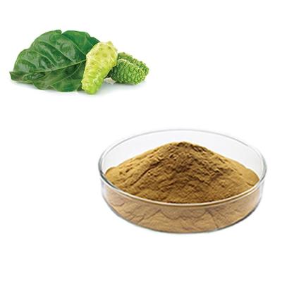 China High Quality Extract of Noni Fruit Enzyme Juice Powder from Good Manufacturing Health Care Products for sale