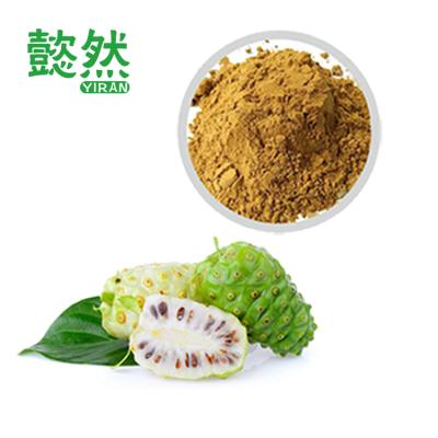 China Wholesale Natural Food Supplement Premium Enzyme Fruit Extract Noni Juice Powder for sale