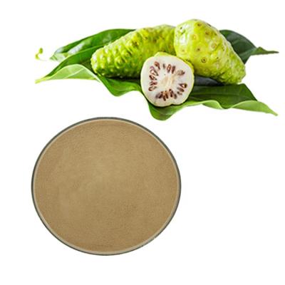 China Health Food Supplement Price Best Noni Enzyme Powder Morinda Citrifolia Fruit Extract For Healthy Immune Antioxidant for sale