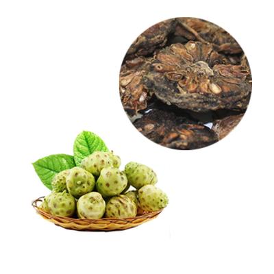 China HOT SALE 100% natural high quality dried fresh fruit noni fruit slice chips for noni tea for sale