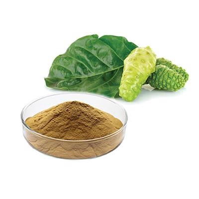 China Medicine Healthcare Products & OEM Health Food Cosmetic High Quality Morinda Citrifolia Extract Noni Enzyme Juice Powder for sale