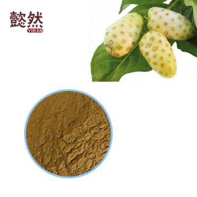 China Wholesale High Quality Organic Food Noni Powder Morinda Citrifolia Extract Health Supplement for sale