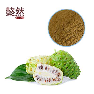 China Health Care Products & Beverage China Factory Provide High Quality Natural Noni Fruit Enzyme Powder Extract With Best Price for sale