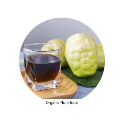 China Sugar Free Mayoristas Importers from China Manufacturer Exportar Salud Noni Fruta Enzima Jugo Refresco Bebidas Para for sale