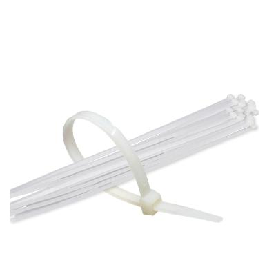 China Tie Cables Hampool Good Quality Customized 2.3*60MM White Self-locking Nylon Cable Tie for sale