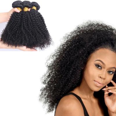 China Afro Kinky Curly Afro Kinky Curly Bundles Cuticle Cuticle Virgin Hair Vietnamese Raw Hair Wefts for sale