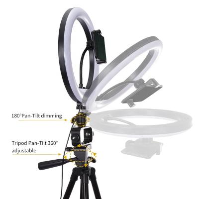 China Live Streaming Hot Product Live Streaming Set Shotgun Microphone With Tripod Ring Fill Light Two-color Beauty for sale