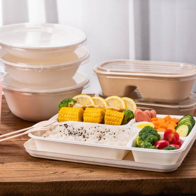 China Different Size 100% Disposable Compostable Biodegradable Take Away Bagasse Container for sale