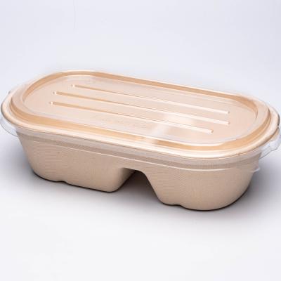 China Different Size 100% Disposable Compostable Biodegradable Take Away Bagasse Container-Two Grid 1000ml for sale