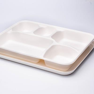 China Different Size 100% Disposable Compostable Biodegradable Take Out Bagasse Container-Five Grid for sale