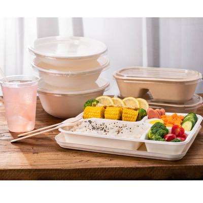 China Different Features 100% Compostable Biodegradable High Quality Disposable Take Out Containers - Five Compartments for sale