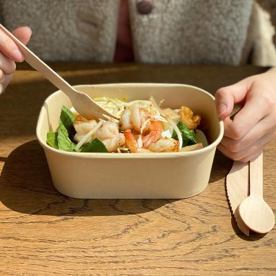 China Different Size 500-1400ml 100% Disposable Compostable Biodegradable Take Out Bowls Rectangular White Paper /Bamboo/Kraft Paper Bowl for sale