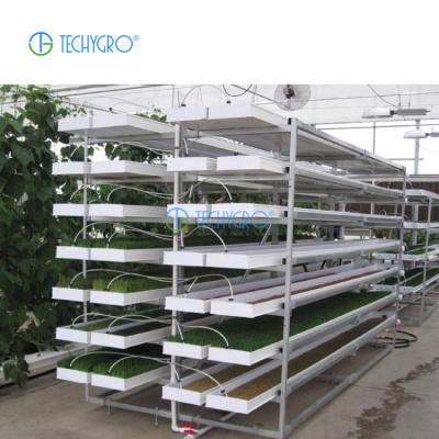 China Eco-friendly; Techygro VGS-01 High Efficiency Seeds Germination Fodder System Green Fodder Production System Hydroponic Fodder Systems for sale