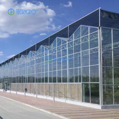 China Hydroponics Commercial Glass Greenhouses Medicinal Plants Greenhouse Turnkey Project With Techygro GH-01A Multi-span One Stop Service Greenhouses for sale