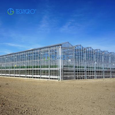 China Medicinal Plants Sale Agriculture Greenhouse Techygro GH-01B Multi-span Greenhouse With Hydroponic Growing Systems for sale