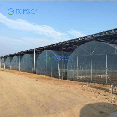 China Medicinal Plants Techygro GH-03A Agricultural Greenhouse Equipped Cooling System Plastic Sheet Multi-span Greenhouses Use Hot Weather For Sale for sale