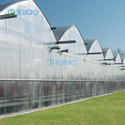 China Green Medicinal Plants Techygro GH-02B Greenhouse Structure Polycarbonate Luxury Greenhouses House For Agriculture for sale