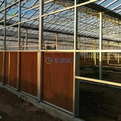 China Techygro GH-02C Multi-span Medicinal Plants Greenhouse Sight Commercial Polycarbonate Sheet Greenhouse UV Resistant On Sale for sale