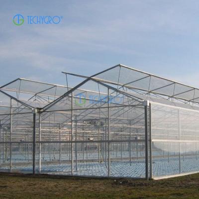 China Medicinal Plants Techygro GH-03D The Professional Agricultural Commercial Plastic Sheet Greenhouse for sale