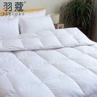 China 2022 Factory Wholesale Home King Size Comforter Hotel Queen Full Imitate Soft King Down Cotton Comforter for sale