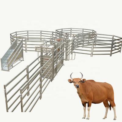 China Easily Assembled Australia Standard Galvanized Metal Cattle Yard Design for sale