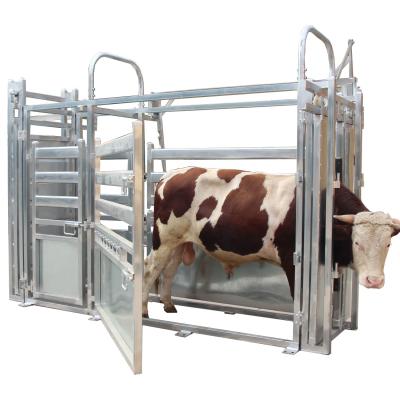 China Easily Herded Cattle Locking Frame Cattle Panel Widely Used In Cattle Yard Vet Grazing To Protect Farmer for sale