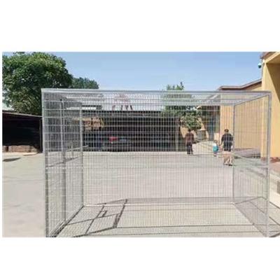 China Viable Outdoor Kennel Dog Kennel Pet Kennel Parrot Kennel for sale