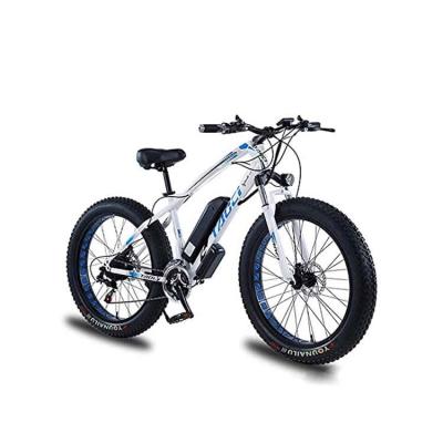 China Finest Motor High Quality Adult Double Mountain Carbon Steel Price Electric Bike for sale