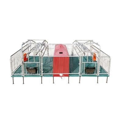 China Competitive Price/Long Service Life/Factory Directly Supply Stainless Steel Group Housing Equipment Pending Equipmentfor Pig Farm for sale