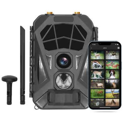 China GPS 4G LTE Wireless Cellular Trail Camera 1080P Outdoor Game Camera with  Night Vision Motion Activated IP56 Waterproof for Hunting for sale