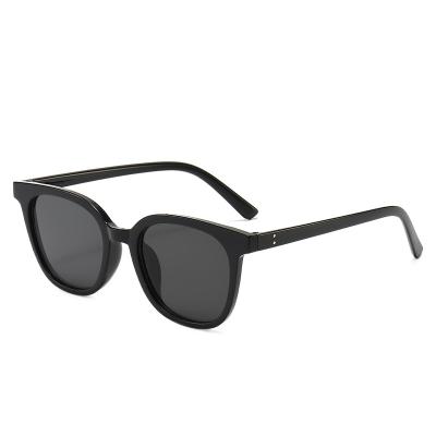 China Fashion Sunglasses New PC Sunglasses Lentes Listing Unisex Lenses For Men Full Frame Training for sale