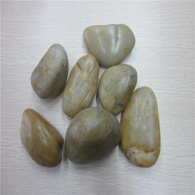 China Modern Natural Pebble Stone Tumbled River Stone Landscaping Decorative Garden Paver Stone for sale