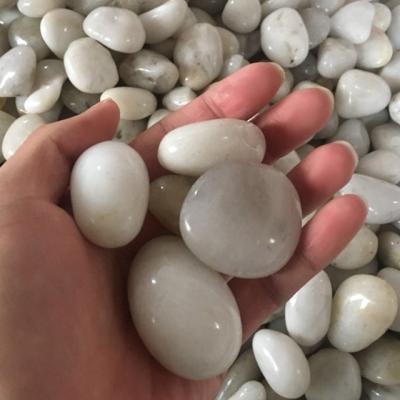 China Home Garden Decoration High Polished White Garden Pebble River Stone Landscaping Wholesale for sale