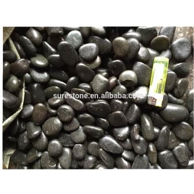 China China Cheapest Round Pure Black Pebbles Stone /paving stone /river stone for sale