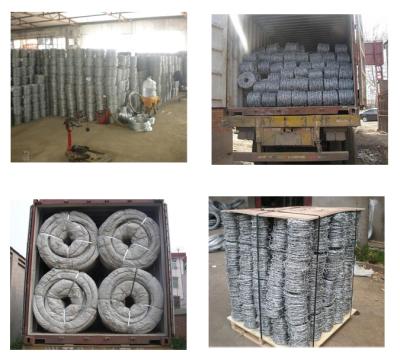 China Protective Construction Good Price 50KGS Per Roll Galvanized Barbed Wire Fencing for sale