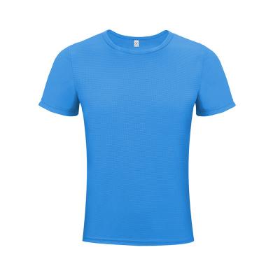 China Custom Printing Running T-shirt Anti-wrinkle Short Sleeve Logo Clothes Tops Gym Wear Adaptive Sports T-shirt for sale