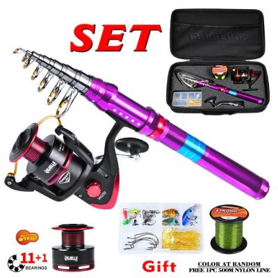 China 2022 Multifunctional New Fishing Reel and Rod Set Set 1.8m-2.7m Telescopic Fishing Rod + 11BB Spining Reel Combo Fishing Line Gift for sale