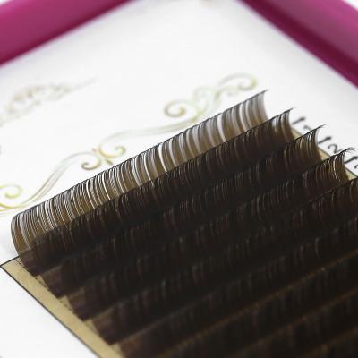 China Extension: Fuller Effect Eyelash Extension Provide New Style Products Eyelash Extensions for sale