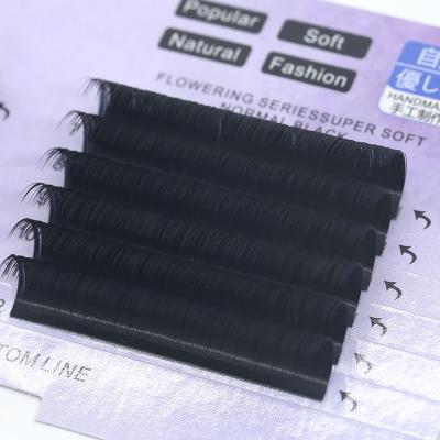 China Natural Eyelash Extensions Soft Russian Classic Individual Eyelash Extension Eyelash Extension for sale