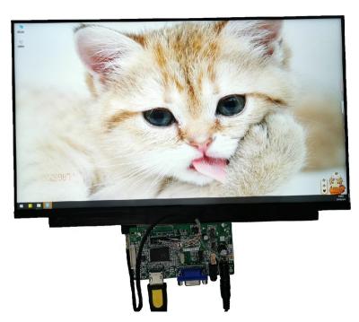 China Industrial Screen Hot New NV173FHM-N4F BOE 17.3 Inch Color Industry IPS Screen LCD Panel for sale