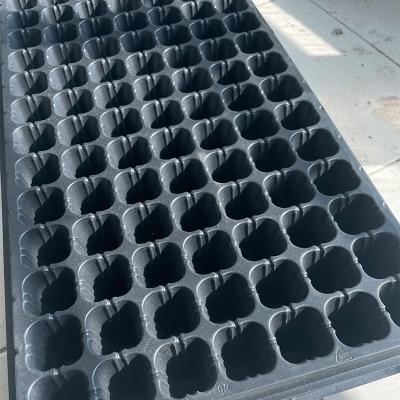 China Eco-friendly 24 Cell Nursery Tray 21 Nursery Tray 288 Seed Germination Trays for sale