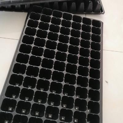 China 21 Cell Eco - Friendly Seeding Tray 21 Cell Seedlings Tray Seedling Tray for sale