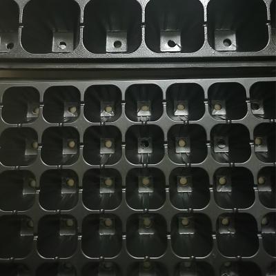 China Eco-friendly 21 Cell PS Propagation Nursery Tray 21 Cell Seed Tray Seedling Tray for sale