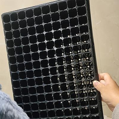 China Eco-friendly Plastic 21 Cell Seeding Tray 21 Cell Plug In Seed Trays Seedling Tray for sale