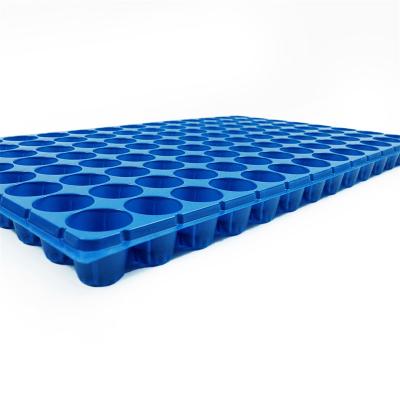 China Eco - Friendly 162 Holes Seedling Tray 162 Plant Trays With Holes Seedling Tray for sale