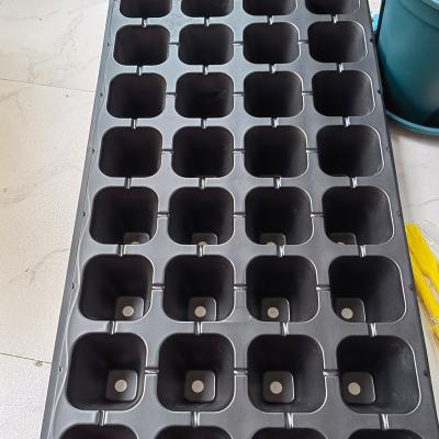 China Eco - Friendly 162 Cell Black Plastic Nursery Trays 162 Cell Plug In Seed Trays Seedling Tray for sale