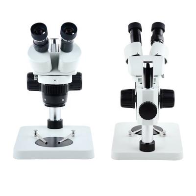 China 20x 40X Stereo Magnification Binocular Microscope For Occupational Medicine Teaching JFMX002 for sale