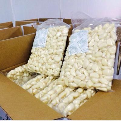 China China Exporters Fresh Peeled Garlic With High Quality And Cheap Price for sale