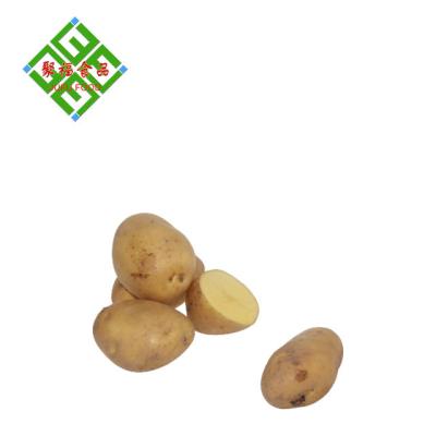 China fresh fresh potato for sale